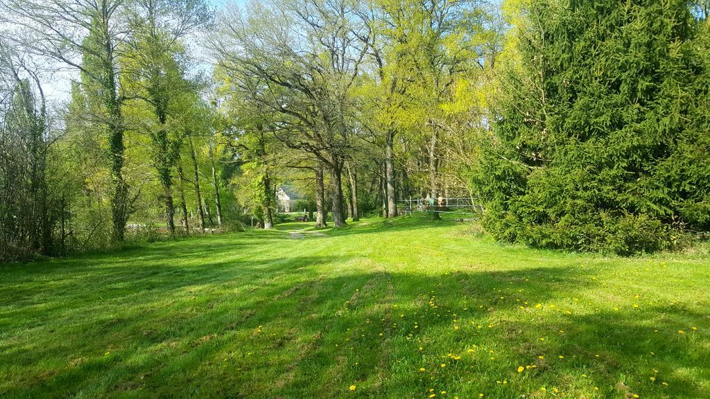 Camping De La Reuille Flere-la-Riviere Buitenkant foto